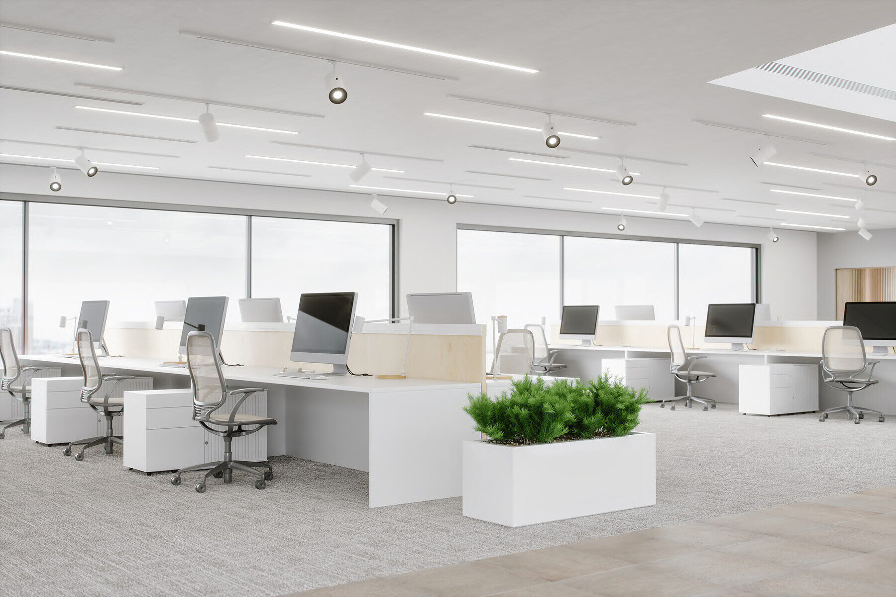 A bright open-plan professional office fit-out